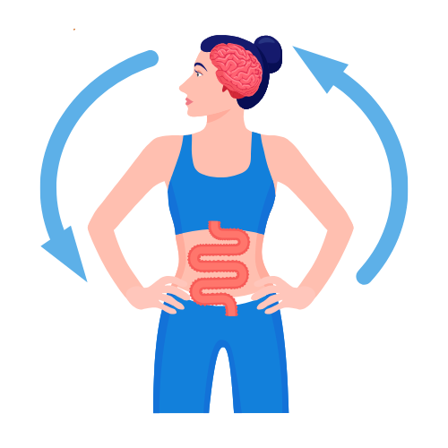 gut healthe featured illustration