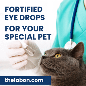 Veterinarian applying transdermal gel to a cat’s ear as part of a customized compounded medication, with thelabon.com branding visible.